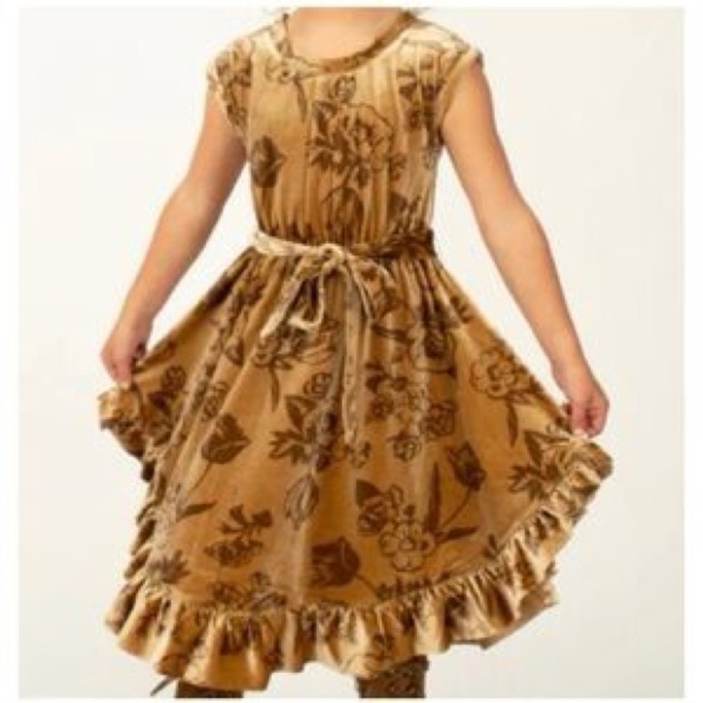 Joyfolie Mia Joy Amoura Dress Velvet Floral Dress in Ochre NWT Size 10